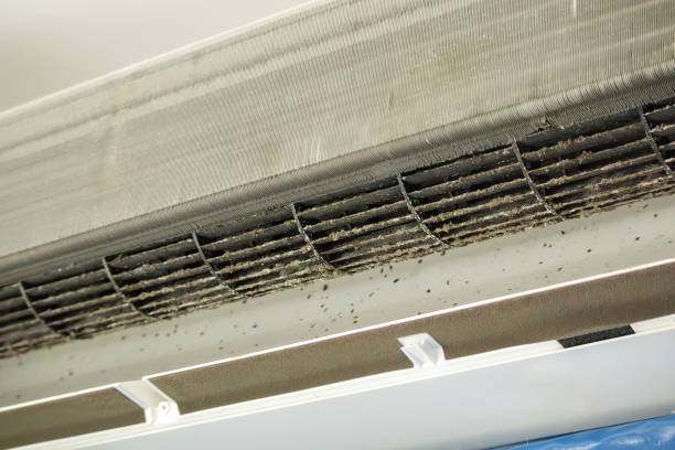 Best Best Air Duct Cleaning Near Me  in Lee Acres, NM